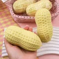Realistic peanut-shaped squeeze toy for stress relief made of soft TPR material - Realistic Peanut / Box Packaging