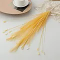 Artificial pampas grass bouquet for wedding home decoration reed floral arrangement - Bearded Peacock Grass - Yellow