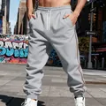 Men's heavyweight gray fleece-lined joggers with side stripes in urban street style. - S / Bottoms / Light Gray