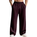 Primo piano di pantaloni pesanti a coste da uomo in viola scuro con vestibilità comoda - Taglia S / Pantaloni e gonne / Borgogna