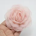 Primer plano de rosa de organza rosa de 8 cm con delicados pétalos de borde quemado - 1 Rosa Nude