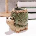 Close-up of creative ceramic turtle succulent planter with green glazed shell and relief detail - Large Turtle / 11x7x9.5cm