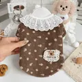 Cozy brown floral pet sweater with elegant white lace collar and bear patch detail - XS / Brown