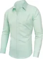 Professional mint green slim fit long sleeve business casual shirt for men - Light Green