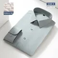 Elegant light sage green mulberry silk dress shirt for men, business casual style. - Fresh Green