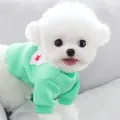 Adorable mint green pet sweatshirt for small dogs and cats like Bichon Frise or Poodle - S / Mint Green