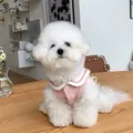 Close-up of small dog wearing pink autumn vest with white Peter Pan collar - S / Pink