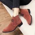 Bottines chukka rétro britanniques élégantes pour hommes en daim terre cuite, laçage - 38 / Brun Rouge