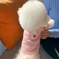 Soft pink pet sweater featuring a cute cartoon bunny holding a heart for small dogs - M / Pink Rabbit / Pink