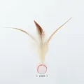 Macro detail view of 2.5cm diameter cat toy elastic ball with natural feathers - OPP Bag / Baseball Style