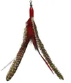Interactive cat teaser toy feather replacement head with spotted and red feathers - Single Head - Red Feather