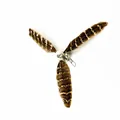 Nahaufnahme des Katzenangel-Ersatzes mit gestreiften Federn, Glocke und Metallclip - Leoparden-Windrad