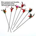 Interactive cat teaser wand with colorful feathers and small bells for pet exercise play - Cat Teaser Wand / 10 Pieces Pack