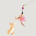 Interactive cat teaser wand with colorful feathers and a bell, cat reaching for it - Steel Wire Feather / 20*30