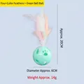Interactive green bell ball cat toy featuring four-color feathers with 20cm total height - Four-Color Feather Green Bell Ball