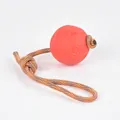 Close-up of durable red TPR dog ball toy with orange braided rope for chewing and fetch - Small Rope Style / Red