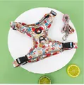 Vibrant floral print dog harness and leash set for small dogs on white display stand - XS / White With Leash