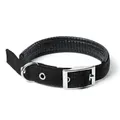 Vue détaillée d'un collier pour chien noir rembourré avec boucle métallique solide - Boucle de Ceinture - Noir