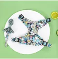 Detailed view of floral pattern dog harness and leash set on green background - XS / Blue With Leash