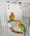 Detail vogelspiegel met kleurrijke katoenen touwstok voor papegaaien en kleine vogels - Acryl Kleine Stijl