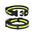 Detail view of reflective nylon dog collar with quick-release buckle and D-ring. - M / Fluorescent Green
