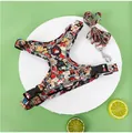 Detailed macro view of vibrant floral pattern pet harness and leash set on white base. - XS / Black With Leash