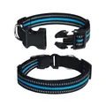Detailed view of reflective nylon dog collar with quick-release buckle and blue stripe - M / Aqua