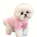 Vista dettagliata di un maglione rosa lavorato a maglia per animali su un cucciolo - Anatra Ricamata / Rosa