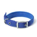 Vue détaillée d'un collier bleu pour chien avec rembourrage en mousse et boucle métal - Boucle de Ceinture - Bleu
