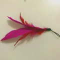Langlebiger Ersatzfederkopf für Katzenangel mit pinken und roten Federn für Hauskatzen - Fuchsia