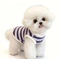 Maglione lavorato a maglia a righe viola per gattini e cuccioli, caldo inverno - Stile a Strisce Viola e Bianche / Viola