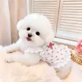 Close-up view of a cute small white dog wearing a floral pet dress with lace edges - S / Dresses / White