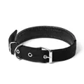 Détail du collier pour chien en nylon noir durable avec rembourrage en mousse et boucle - 3cm / Boucle à Ardillon - Noir
