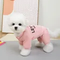 Detailansicht eines weich gepolsterten rosa Hunde-Trainingsanzugs für kleine Hunde - S / Rosa