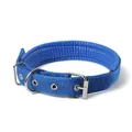 Vue détaillée du rembourrage en mousse bleue et de la boucle en métal robuste pour chien. - 3cm / Boucle à Ardillon - Bleu