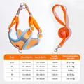 Detailed size chart for breathable orange pet harness and leash set for small breed dogs - XS / Harness And Leash Combination / Orange