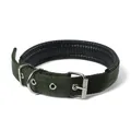 Détail d'un collier pour chien vert montrant la doublure douce et la boucle - 3cm / Boucle à Ardillon - Vert