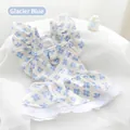 Élégante robe de princesse pour animaux à fleurs bleu glacier et bordure en dentelle - XS / Robes / Bleu glacier