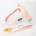 Adjustable pink and yellow striped mesh dog harness with matching leash set for pets - S (Harness and Leash Set) / Cream Pink