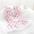 Robe de princesse pour animal rose pêche avec imprimé trèfle et bordure en dentelle - XS / Robes / Rose Pêche