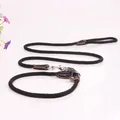 Durable dark brown nylon P-chain dog leash with leather trim on white background - Size S (0.8cm Thick) / Black