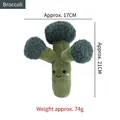Soft plush squeaky broccoli vegetable dog toy with cute smiley face for pet teething and play - Broccoli