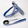 Durable blue and white striped dog harness and leash set for small to medium dogs - S (Harness and Leash Set) / Creamy Blue