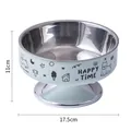 Stainless steel pedestal pet bowl with 17.5cm diameter and 11cm height, mint green - Green (Large Single Bowl + Stainless Bowl)
