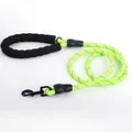 Neon green reflective dog leash with comfortable foam handle and secure black metal clip - 12mm*120cm / Green