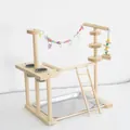 Solid wood parrot training stand play gym with ladder and feeding bowls for birds - M013 Style (M013)