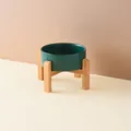 Minimalistischer dunkelgrüner Keramik-Katzennapf mit stabilem Bambusholzständer - Extra Klein 11cm (Einzelnapf Mit Ständer) / Grün