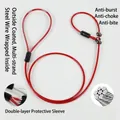 Heavy duty red steel wire integrated P-chain dog leash with chew-proof reinforced cable - Transparent PVC Handle P-Rope / Thickness 5mm * Length 120cm / Red Double Buckle