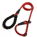 Reflective P-rope dog leash with comfortable padded foam handle for large dogs training - 12mm*120cm / Red
