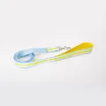 Blue and yellow striped dog leash with durable silver metal swivel snap hook - L (Leash Only) / Milk Yellow
